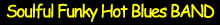 Soulful Funky Hot Blues BAND