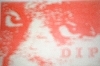 D.I.P. / 2nd "氷の世界"
